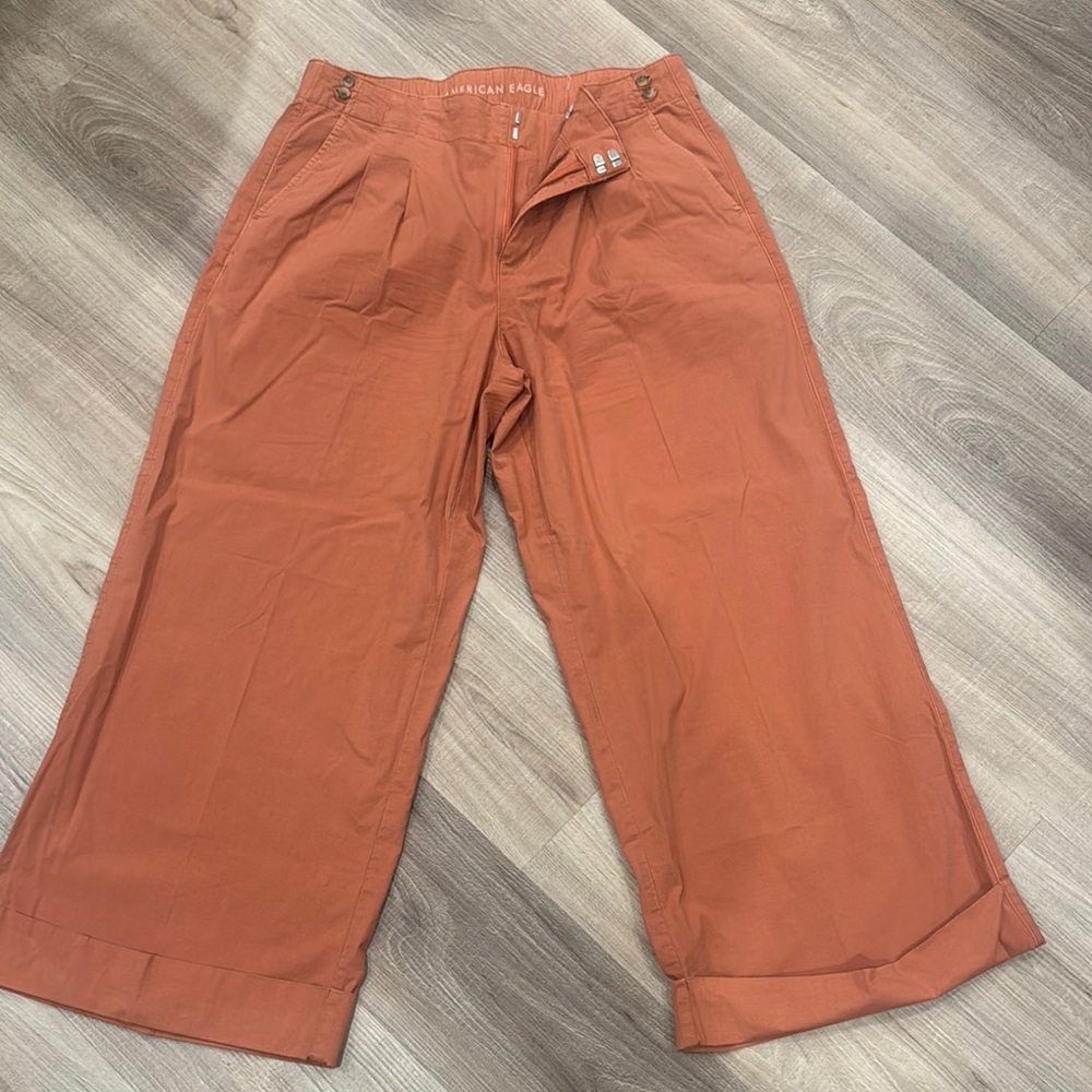 American Eagle Outfitters Wide Leg Pants in Rust Orange SHORT